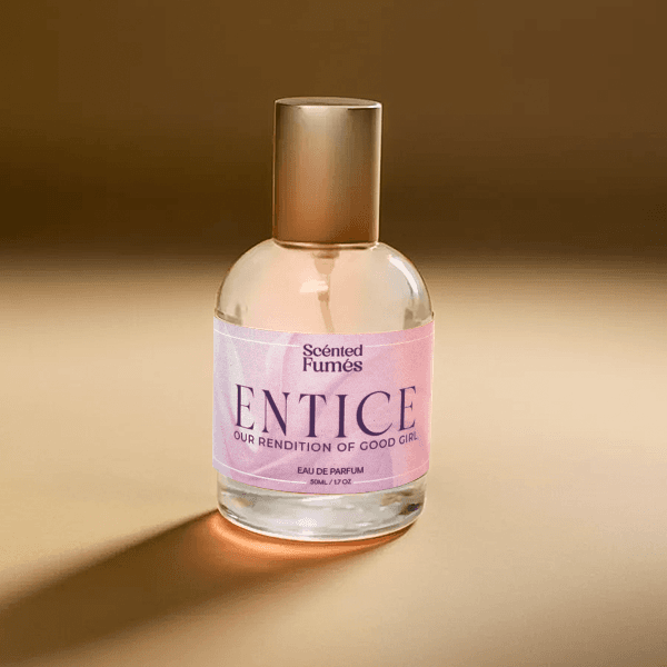 Entice - Rendition of Good Girl